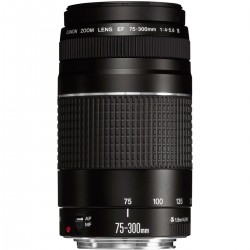 Canon EF 75-300mm f/4-5.6 III - Scherpe prijzen en snelle verzending | Foto-Groep