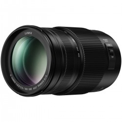 Panasonic 100-300mm f4.0-5.6 G-Vario OIS II | Foto-Groep