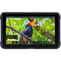 Atomos Shinobi 5.2" Field Monitor Foto-.Video-Monitor