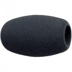 Koop de Sennheiser MZW 1 op foto-groep.nl