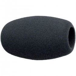 Koop de Sennheiser MZW 1 op foto-groep.nl