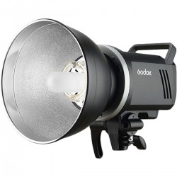 MS300