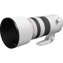 "Canon RF 70-200mm f/2.8 L IS USM Z Wit | Foto-Groep"