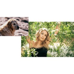 "Fujifilm X-H2 XF16-80mm f/4 R OIS WR | Foto-Groep"