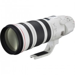 Canon 200-400mm f4.0 L IS USM Extender 1.4fach EF 