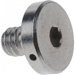 Caruba 1/4" Screw - Inbus
