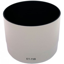 ET 73B Wit