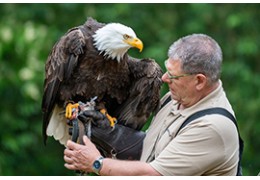 Roofvogelfotografie: Tips voor de Beste Foto's