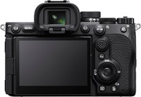 Sony A7 V + FE 24–70mm F2.8 GM II-2