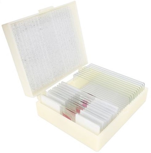 Konus Preparaten Set Wetenschappelijk Onderwijs 1 (10 Stuks)