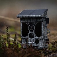 Caruba Wildcamera Raccoon Solar 4K-3