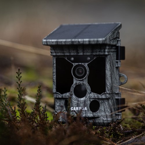 Caruba Wildcamera Raccoon Solar 4K-3