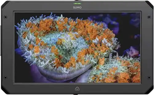 Audio- en video-oplossingen voor professionals en creators