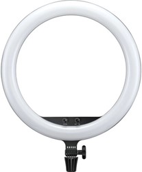 Godox LR150 LED Ring Light Black