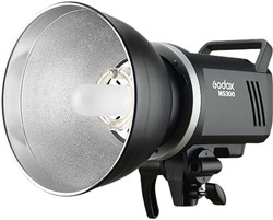 MS300