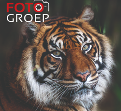 Workshop Wildlife Fotografie: Ouwehands Dierenpark in Rhenen - Ochtend Datum: 14 augustus 2026