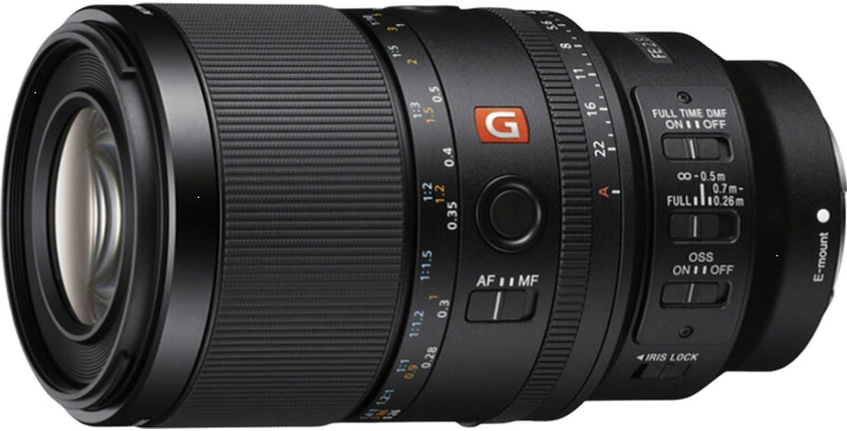 Sony SEL FE 100mm f/2.8 Macro GM OSS (SEL100M28GMB.SYX) Foto-Groep