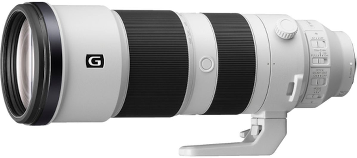 Sony 200-600mm G-lens F5.6 - 6.3 (SEL200600G.SYX) Foto-Groep